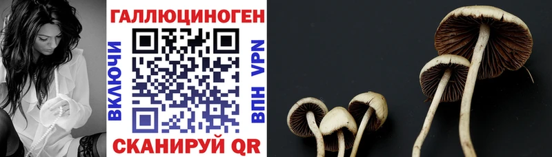 Псилоцибиновые грибы прущие грибы  Ужур 